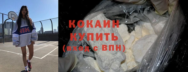 ПСИЛОЦИБИНОВЫЕ ГРИБЫ Гусь-Хрустальный