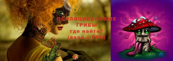 ПСИЛОЦИБИНОВЫЕ ГРИБЫ Гусь-Хрустальный
