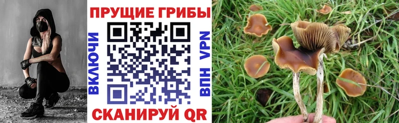 Галлюциногенные грибы GOLDEN TEACHER  Заозёрный 