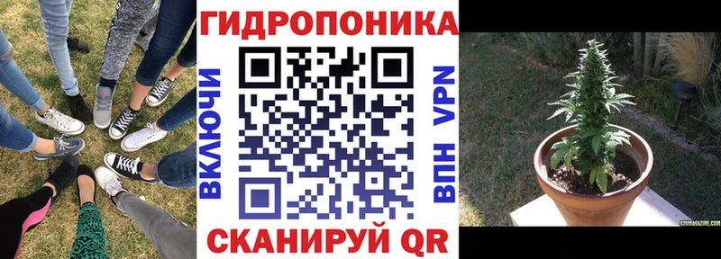 где продают Заозёрный Конопля индика